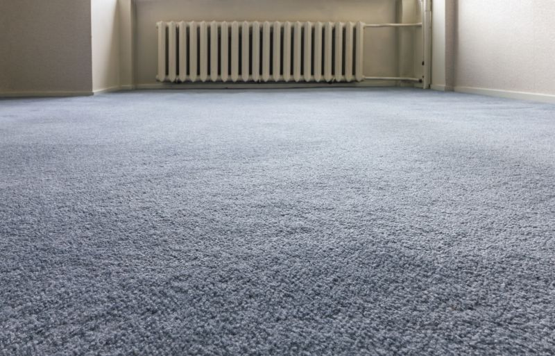 Carpet Burn Repair in Littleton, CO