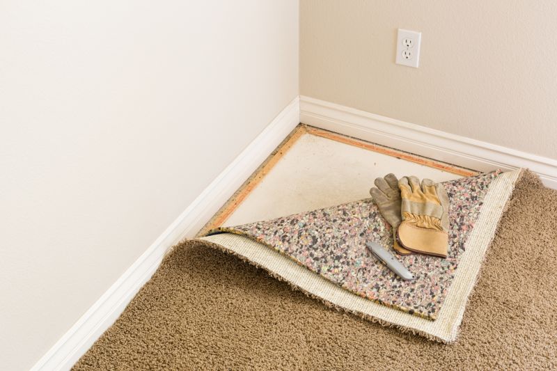Carpet Foam Replacement in Overland Park, KS