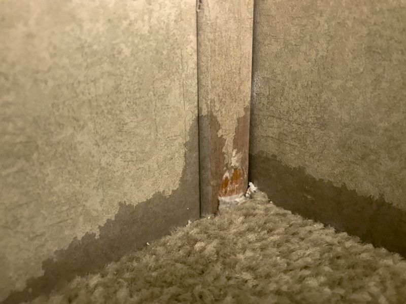 Carpet Hole Repair in Denver County, CO