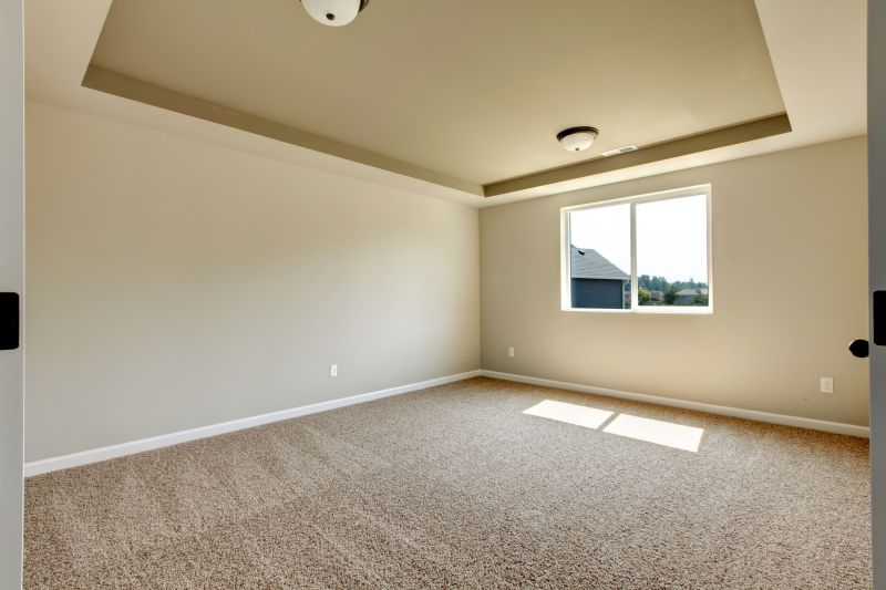 Carpet Hole Repair in Olathe, KS