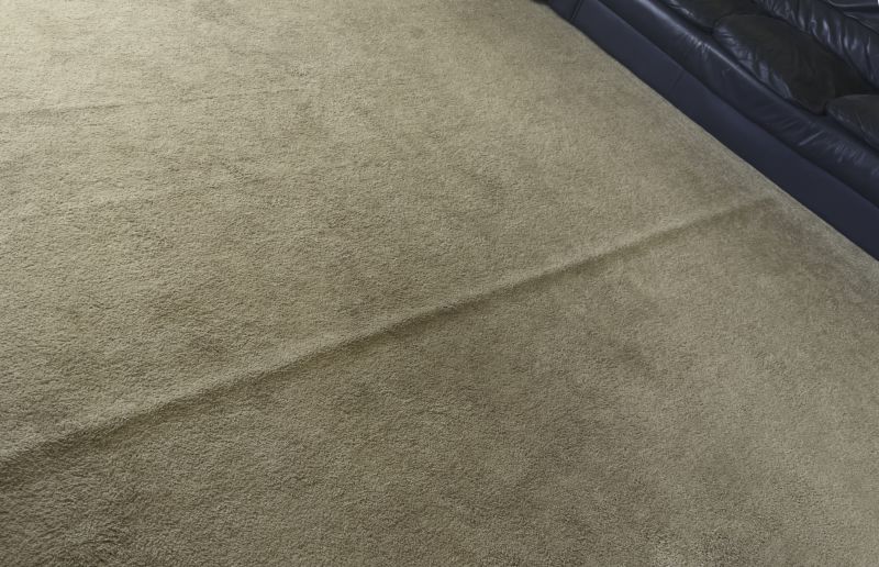 Residential Carpet Repair in Alpharetta, GA