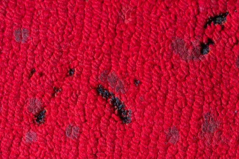 Residential Carpet Repair in Olathe, KS